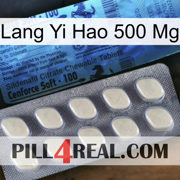 Lang Yi Hao 500 Mg 34.jpg